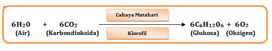 Bocoran Soal UNBK Kimia 2019 14