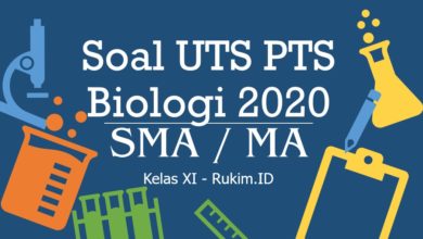 Download Soal PTS Biologi Kelas 11 PDF